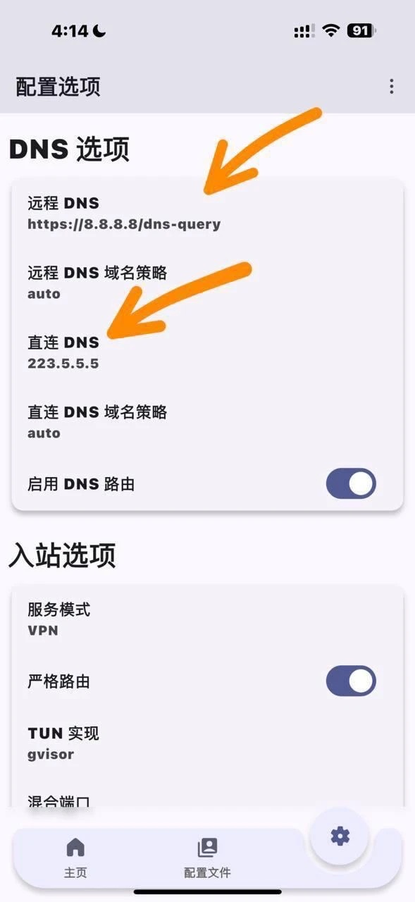 9. Configure DNS (Critical)
